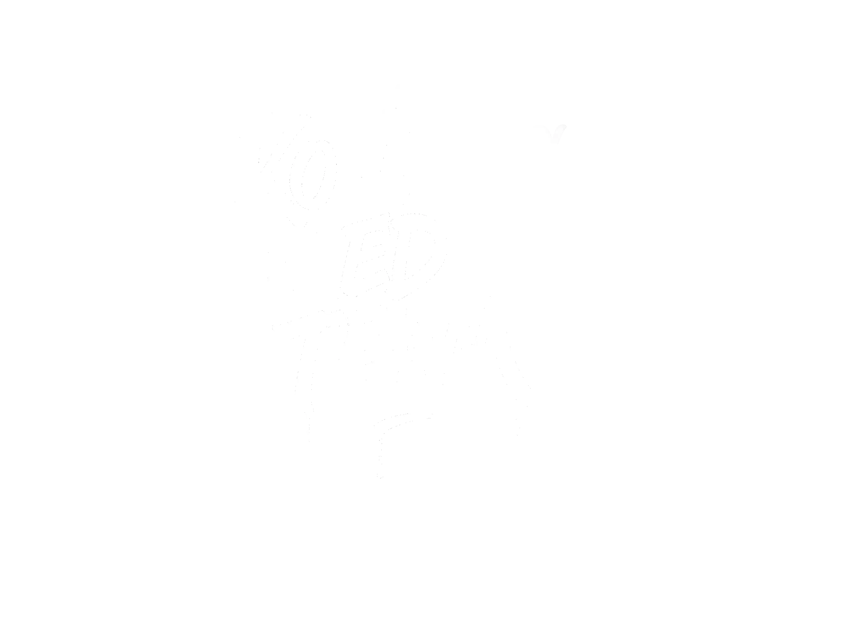 Kovcheg Media Team